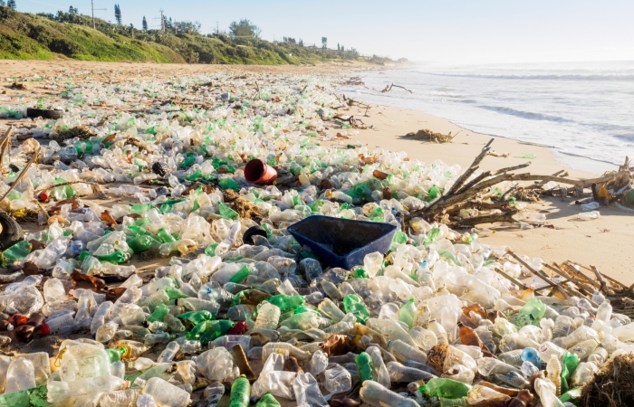 SA marine life is drowning in plastic, Fishaways launches clean up ...