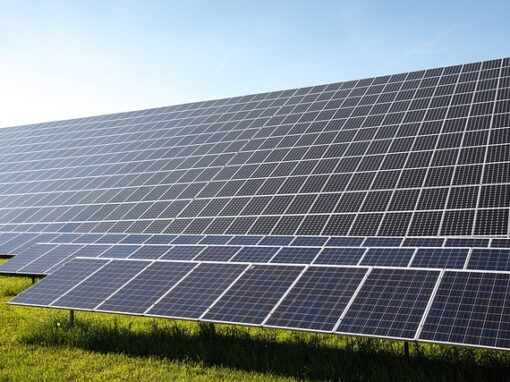 Solar plant project ahead for SRK Consulting