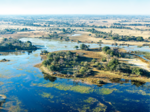 The Okavango River Basin Commission (OKACOM) is a river basin organisation established by Namibia, Angola and Botswana to jointly manage resources of the Okavango River Basin Commission