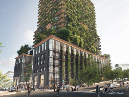 The Fynbos Building sustainable cape town building