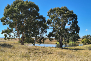 Farm dam registration south africa