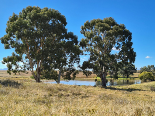 Farm dam registration south africa