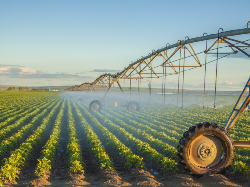 farm Water Management