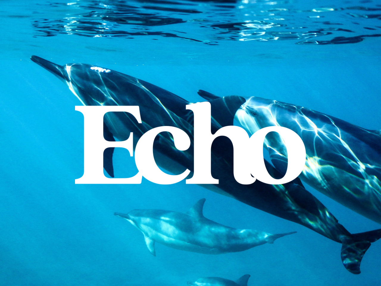 New Digital Platform Echo, Simplifies Public Participation In Environmental Impact Assessment