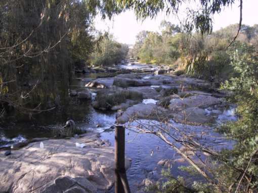Water Week ecology south Africa