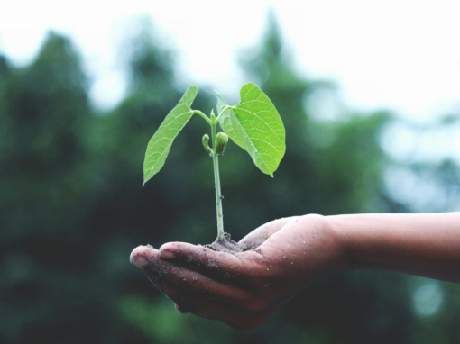 Earth Day food banking