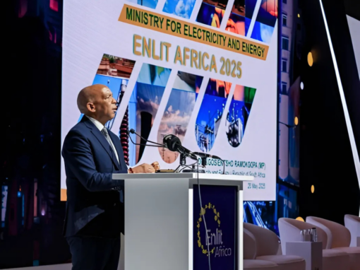Minister of Energy and Electricity Dr. Kgosientsho Ramokgopa