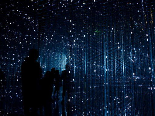 Operation Vulindlela technology South Africa