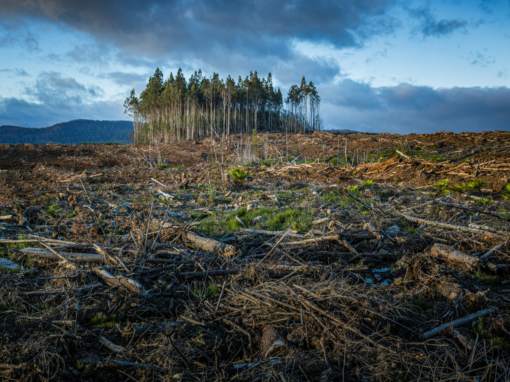 Climate Philanthropy Pledge signed in South Africa for climate change