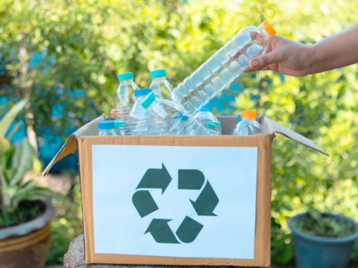 recycled PET bottles