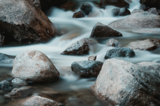 ARVs drinking water findings