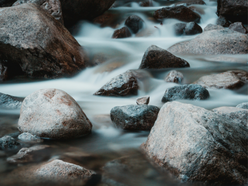 ARVs drinking water findings