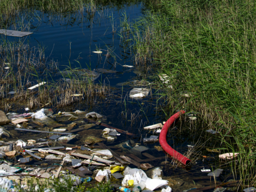 Department of Water and Sanitation Clear Rivers Campaign