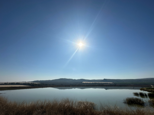 Groblersdal Dam in South Africa