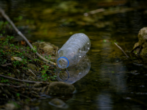 River clean up of pollution In Grabouw