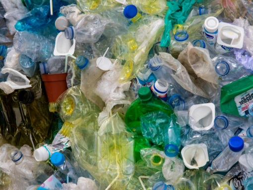 Sustainable Waste Solutions