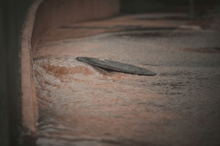 KZN floods in housing