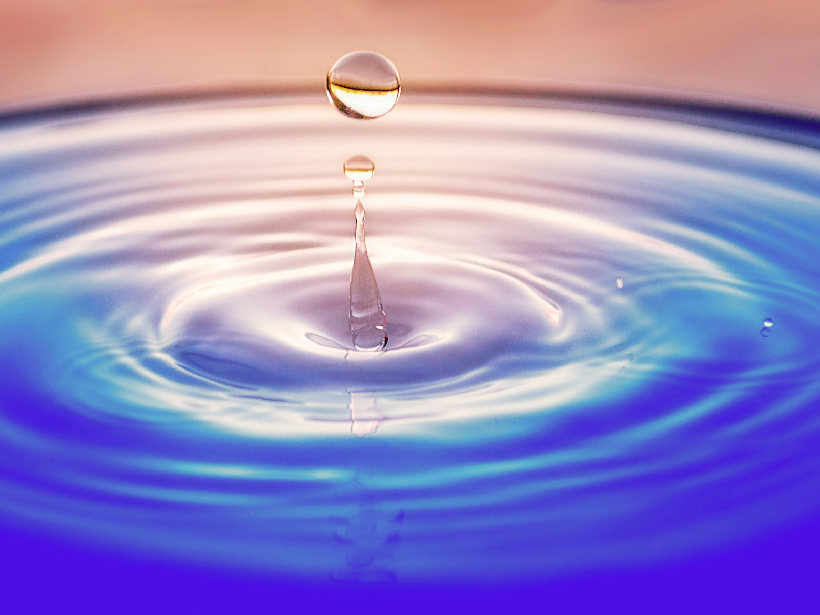 Makhanda water supply