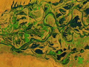 Senegal River Digital Africa