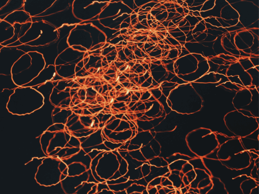 copper cables theft from Transnet