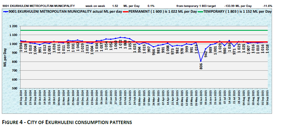 CITY OF EKURHULENI CONSUMPTION PATTERNS