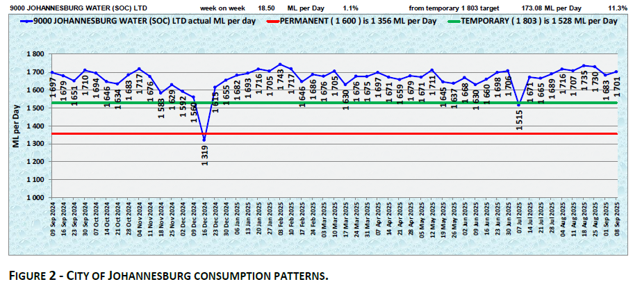 CITY OF JOHANNESBURG CONSUMPTION PATTERNS.