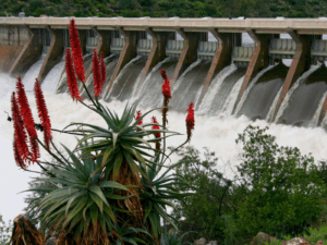 Clanwilliam Dam