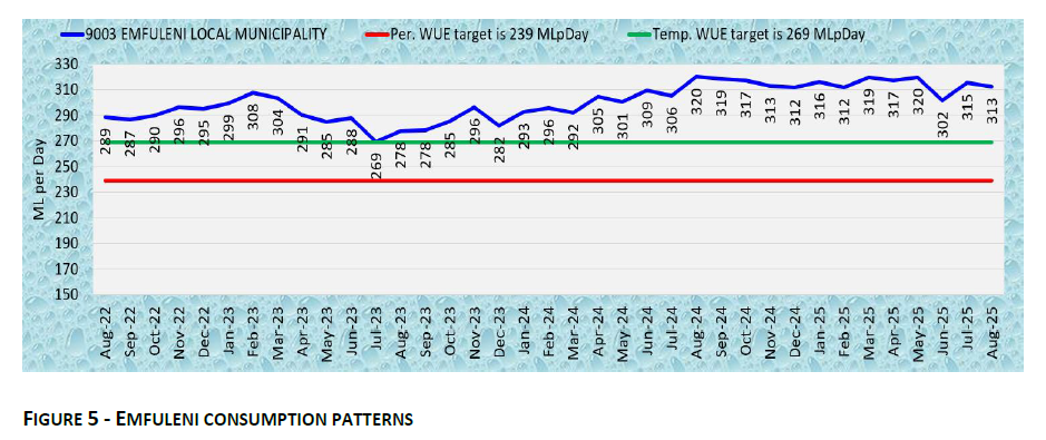 EMFULENI CONSUMPTION PATTERNS