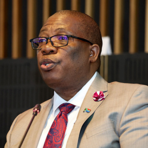 Gauteng Premier Panyaza Lesufi 