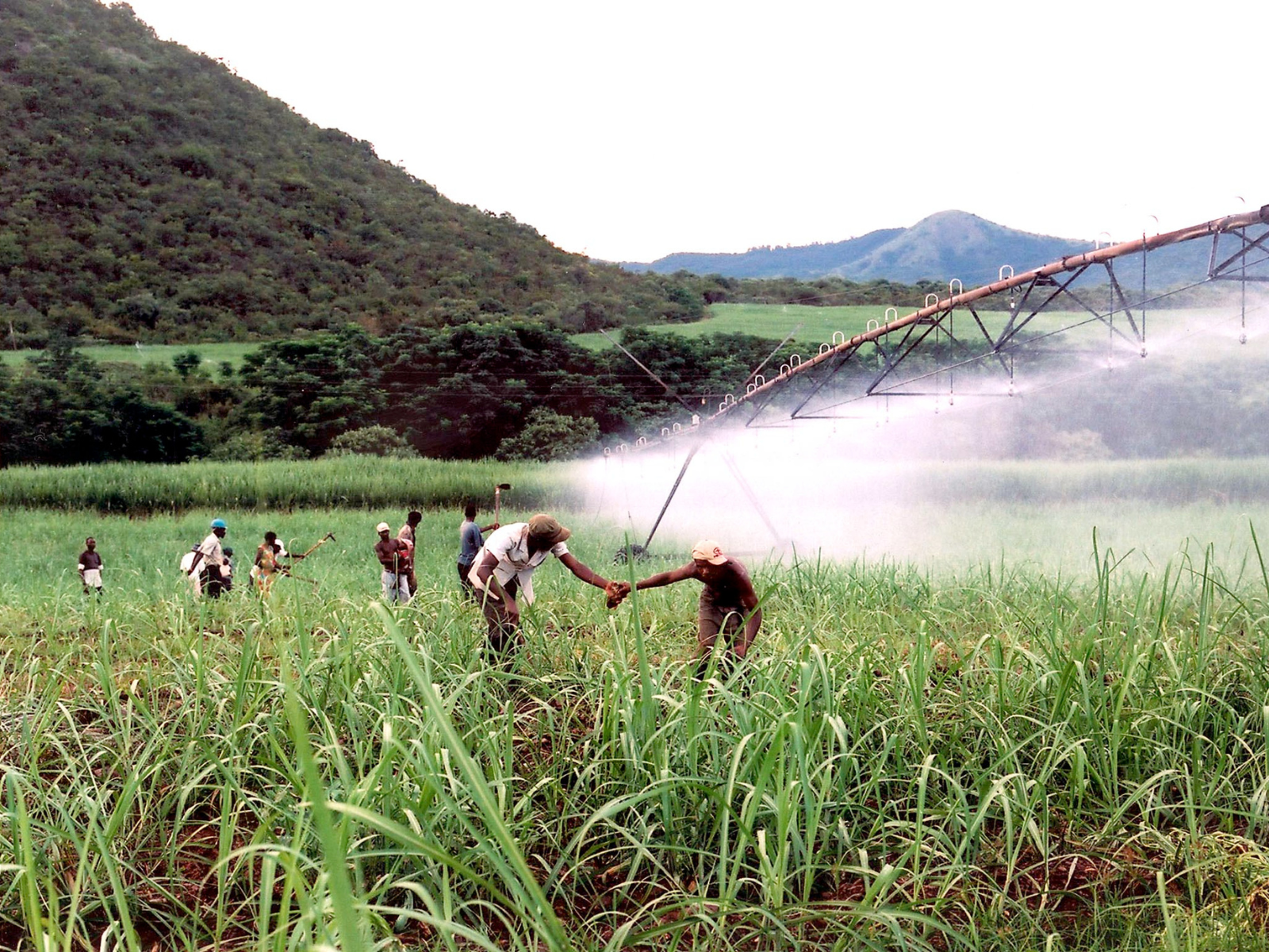 KSB Pumps and Valves’ new pump range makes irrigation possible regardless of the conditions