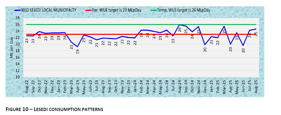 LESEDI CONSUMPTION PATTERNS