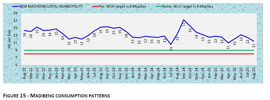 MADIBENG CONSUMPTION PATTERNS