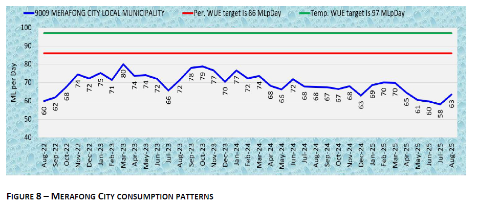 MERAFONG CITY CONSUMPTION PATTERNS
