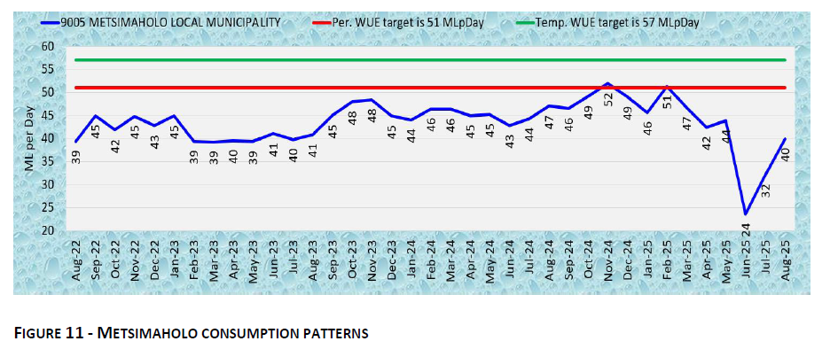 METSIMAHOLO CONSUMPTION PATTERNS