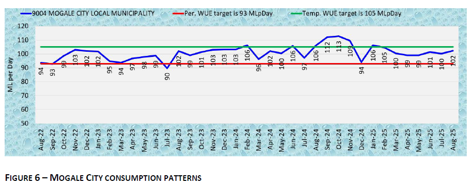 MOGALE CITY CONSUMPTION PATTERNS