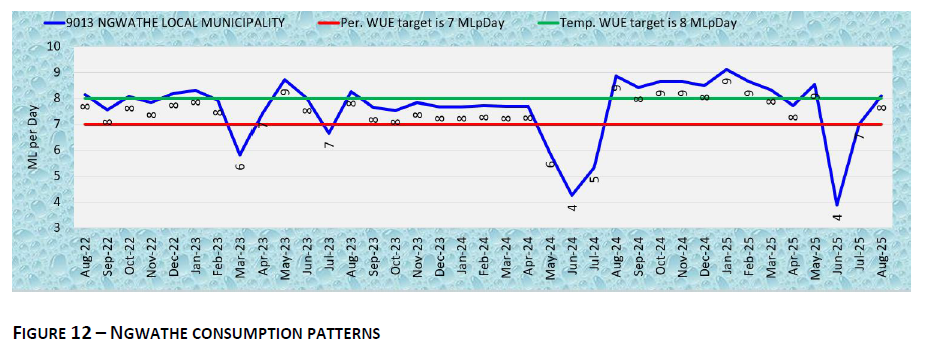 NGWATHE CONSUMPTION PATTERNS