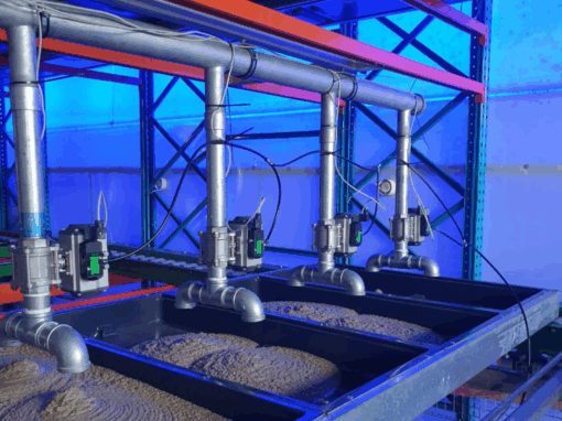 Nutrisek - black soldier fly farming company