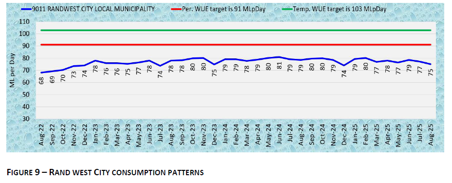 RAND WEST CITY CONSUMPTION PATTERNS