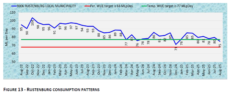 RUSTENBURG CONSUMPTION PATTERNS