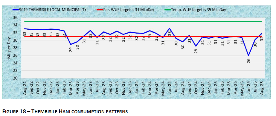 THEMBISILE HANI CONSUMPTION PATTERNS