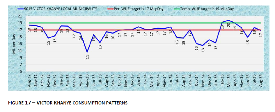 VICTOR KHANYE CONSUMPTION PATTERNS