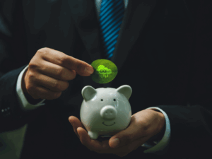 carbon budget regulations south africa