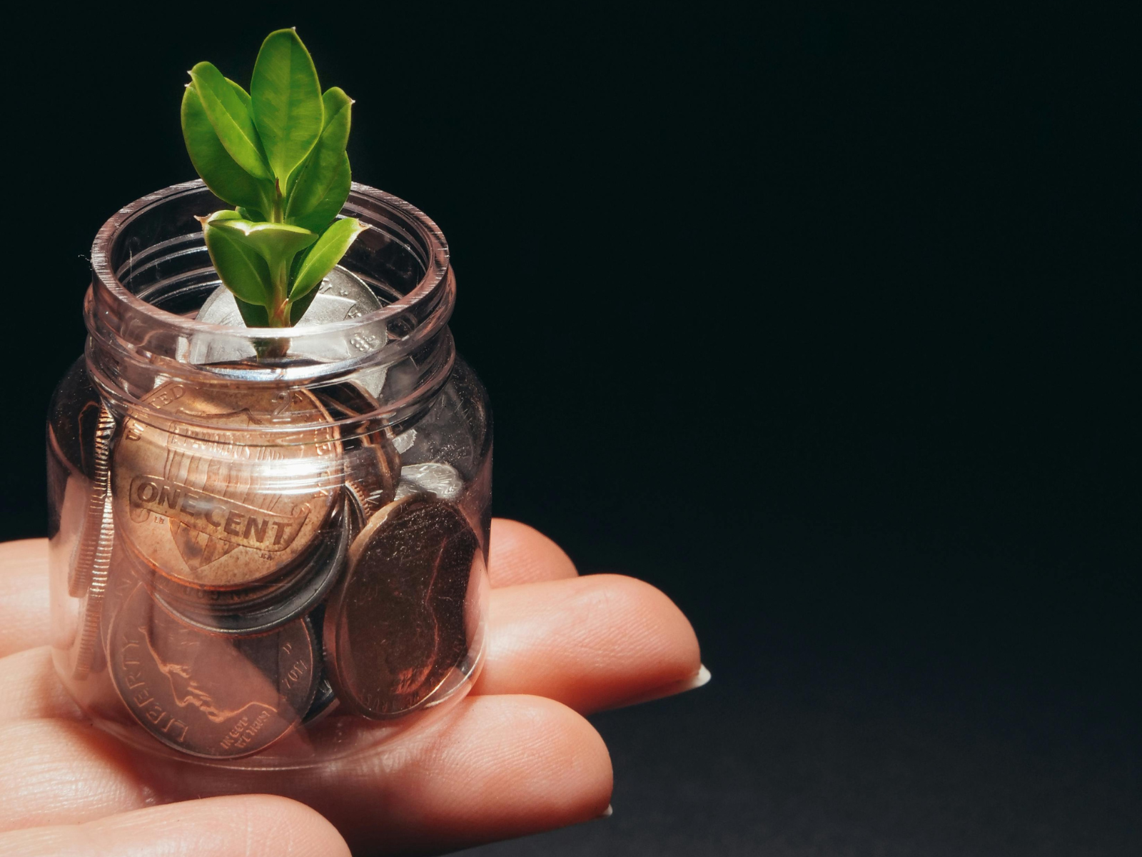 green bonds for financing