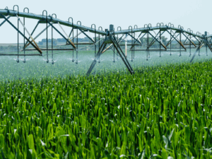 irrigation structures of cultural, historical, and technological significance