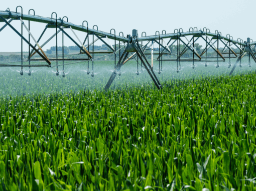 irrigation structures of cultural, historical, and technological significance