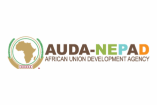 AUDA-NEPAD logo