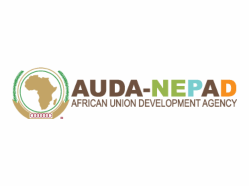 AUDA-NEPAD logo