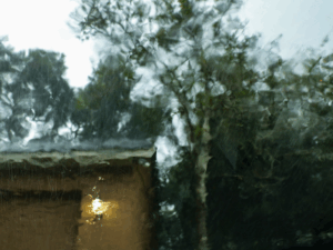 Africa flood disaster management