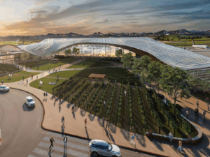 Cape Winelands Airport