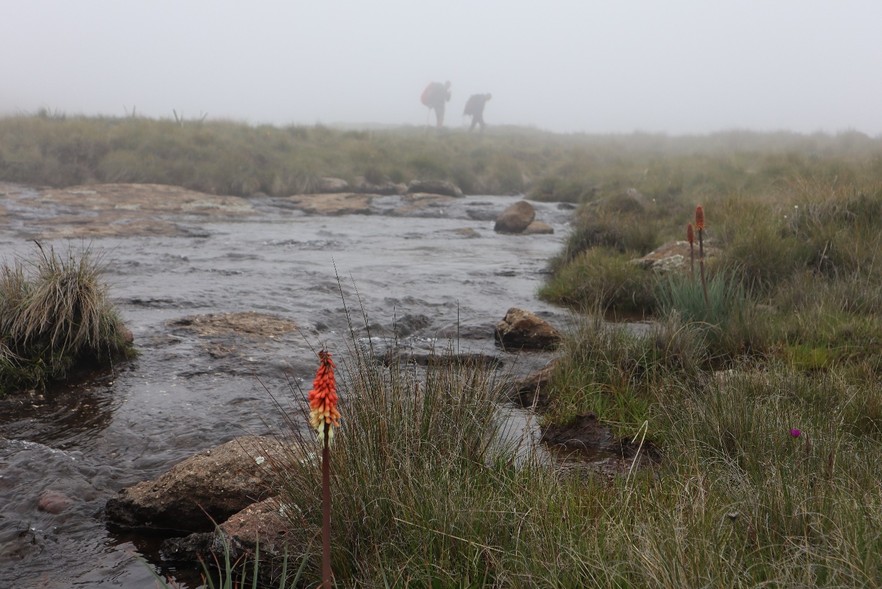 Drakensberg mountain spring